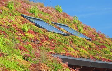 Kippax living roof systems